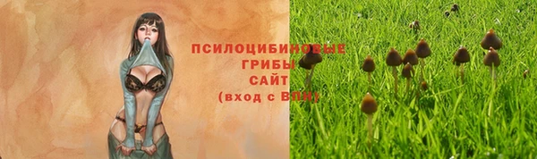 прущая мука Баксан