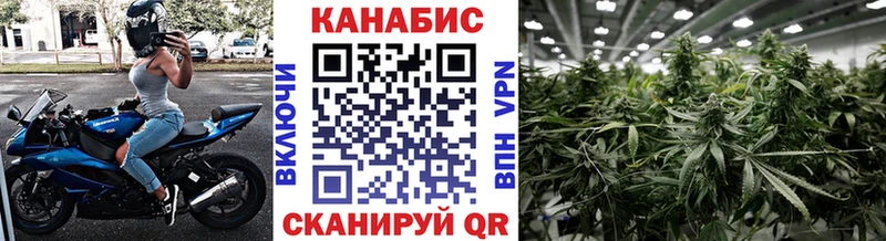 Канабис Amnesia  Купить где  Гороховец 